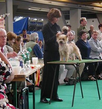 Ziggy at the World Show 2002