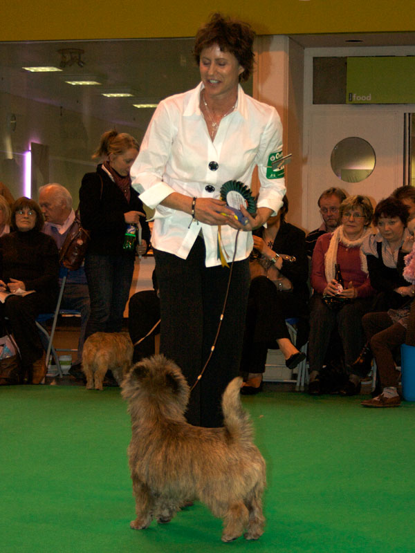 crufts3731